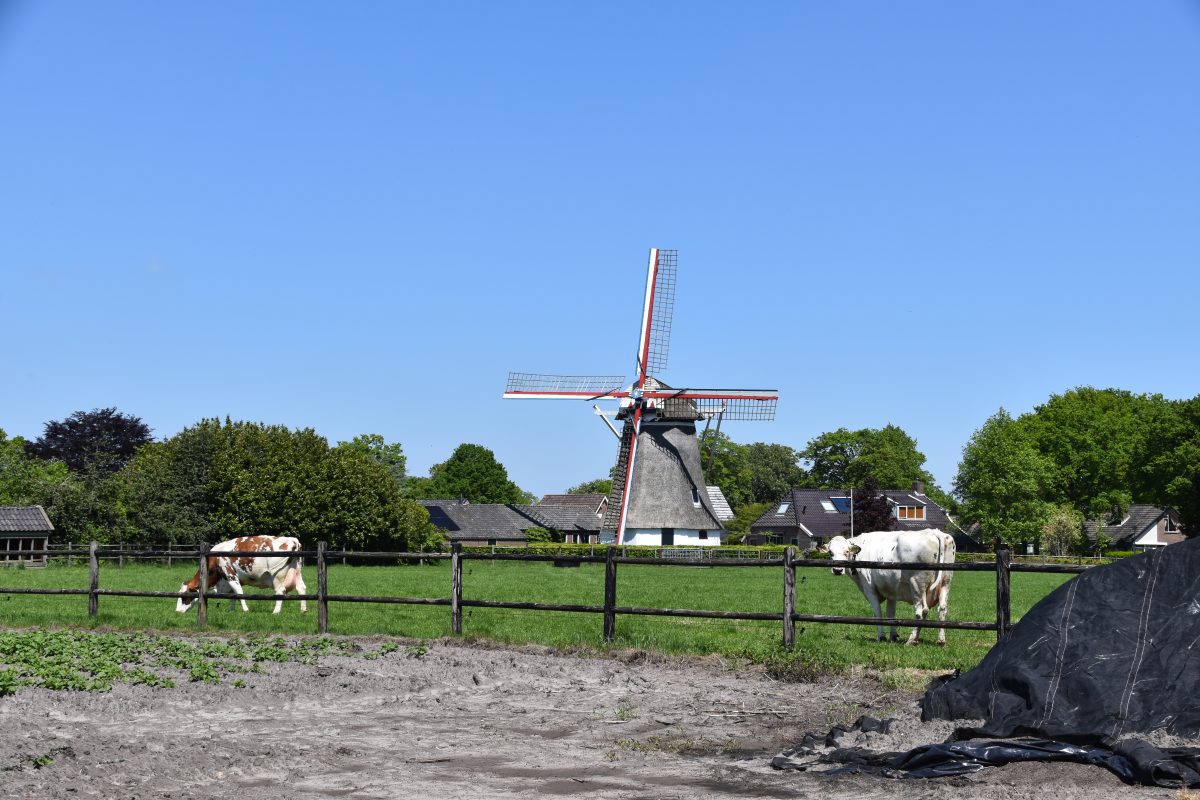 Molen Albertdina Noord-Sleen, Molens, Wieken, Emmen